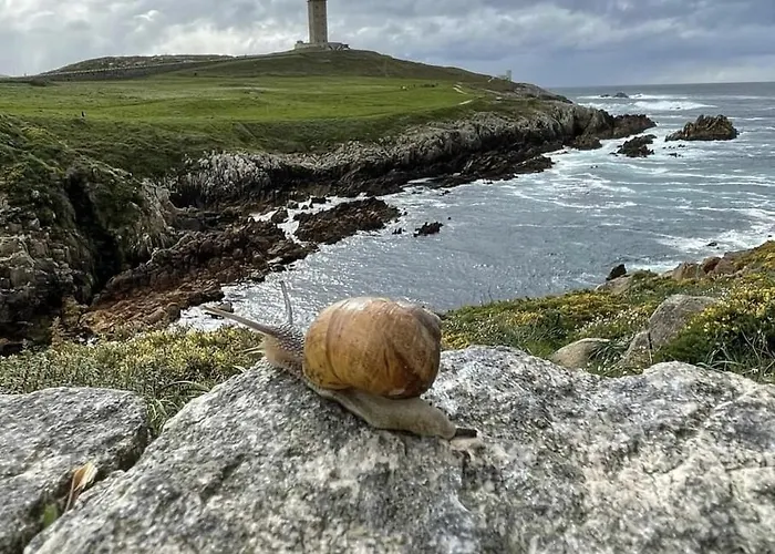 Flor De Loto 2* Ordes